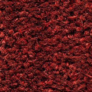 001 Red