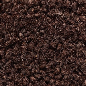 006 Brown